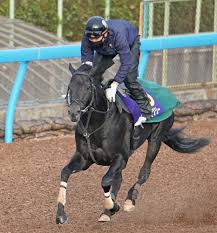 中山記念, ウインブライト, インディチャンプ, ダノンキングリー 3 月 1日の 中山記念 （g2）は、毎年好メンバーが揃う重賞だが、今年もまた楽しみなメンバーが出走を予定している。 å¤§éªæ¯ ã­ã³ã°ãªã¼ æ²é¡ã¿ã¤ãã«ã¸è»½å¿«12ç§'0 åèµ°ä¸­å±±è¨å¿µg1é¦¬5é ­æ'ç ´ã®åç¾vã' ã¹ããã Sponichi Annex ã®ã£ã³ãã«