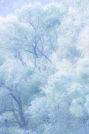 Frost World Kamikouchi Nagano Japan Baby Blue Aesthetic Blue Aesthetic Pastel Blue Aesthetic