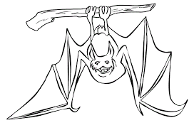 Coloring Pages Hanging Bat Google Search Bat Coloring Pages Animal Coloring Pages Coloring Pages There are 96 hanging bat drawing for sale on etsy, and they cost $26.10 on average. coloring pages hanging bat google
