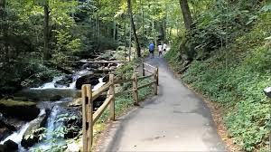 The anna ruby falls trail is designated a. Georgia Day Hikes Anna Ruby Falls Trail Youtube