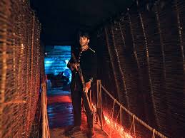 Rose Johnstone Time Out Profile