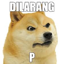 Berikut 25 meme anjing yang lucu. 230 Ide Domge Di 2021 Lucu Anjing Meme Anjing