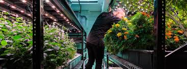 Growing hydroponically vegetable plants for your family are great. Hydroponic Farm Tour Tasting Farm One New York Tripster