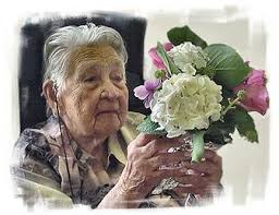 Harryet Myosotis Marsman-van Deventer