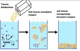 Menariknya, tanaman air kolam yang menjernihkan tersebut juga punya rupa yang cantik. Cara Menjernihkan Air Dengan Tawas Dan Penjelasan Bahaya Dan Manfaatnya Reva Pedia
