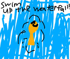 Remember how much you loved field trips? Koi Fish Swims Up Waterfall Drawception