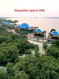 Image result for Red Marina 1994 UMM