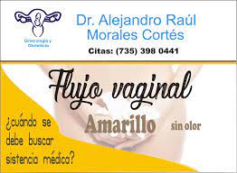 Flujo Vaginal Amarillo Dr Alejandro Raul Morales Cortes Facebook