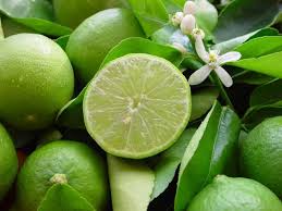 Caribfruits Citrons Fruits Des Antilles Fruit Vert Citron Fruit Fruits