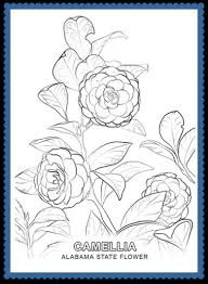 Free alabama stencils, patterns, maps, state outlines, and shapes. Alabama State Flower Coloring Page Archives Usa Facts For Kids