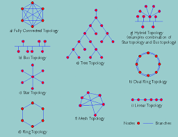 Network Topologies King Of Networking