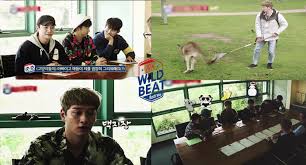 Wild Beat In Australia Ep5 Hottest Destiny