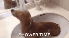 Free music streaming for any time, place, or mood. Shower Time Gifs Tenor