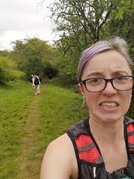 Dog walker alert: the cows are back in the field by the wooden bridge at  Newton. There are a fair few calves so the mothers are naturally protective  and can be quite