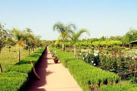 Saffron Paradise Le Paradis Du Safran Ourika Traveller Reviews Tripadvisor