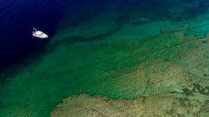 great lakes, feeding rare
