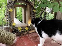 9 Awesome Ways To Bring Your Catio To Life With These Catio Accessories Outdoor Cat Enclosure Cat Decor Cat Diy