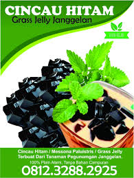 Sesiapa nak cuba buat cincau sendiri (homemade cincau) boleh hubungi/sms saya. 0812 3288 2925 Cincau Hitam Asli Cincau Hitam Obat Darah Tinggi Jual Cincau Hitam Malang Cincau Diet Vegan