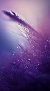 Purple Rain Wallpaper Iphone Best Iphone Wallpaper Rain Wallpapers Iphone 5s Wallpaper Purple Wallpaper