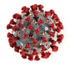 Lenzuolo sopra arricchito da una balza doppiata con un motivo falso unito che si abbina cromaticamente al disegno principale, federa double face e lenzuolo con angoli falso unito. Coronavirus Ecco Le Immagini Del Virus La Repubblica