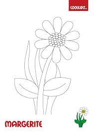 Male Eine Fruhlingsblume Margerite