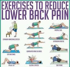 Pin On Exercise