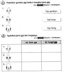 Panduan penulisan ulasan berpandukan carta aliran upsr via babab.net. Soalan Latihan Sains Tahun 1 Bermanfaat Bank Soalan Sains Tahun 4 Sjkt Permatang Skoloh