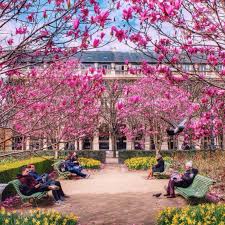 Audreylovesparis Jardin Du Palais Royal Paris March 30 2015 Paris Paris France Springtime In Paris