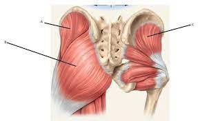 Pin On Get Your Butt In Gear Or Tips I Should Really Actually Follow