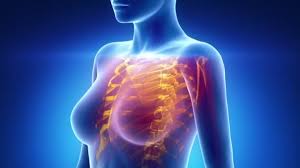 They are learned by paying close attention to. Female Scan Chest Organs Anatomy Video By C Cliparea Stock Footage 54291969