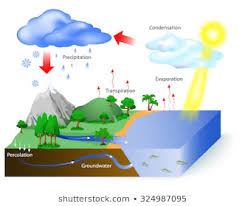 Royalty Free Water Cycle Stock Images Photos Vectors