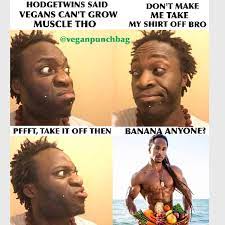 Vegan Punch Bag On Twitter Vegans Can T Build Muscle Veganpunchbag Vegans Veganmuscle Torrewashington Meme Veganmeme Lol Vegans Https T Co Xy33ari6tj