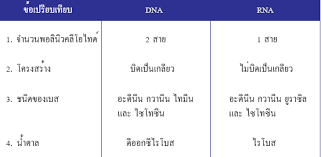 We did not find results for: à¹€à¸£ à¸¢à¸™à¸Š à¸§à¸§ à¸—à¸¢à¸² à¸ à¸šà¸„à¸£ à¸à¸¨à¸™à¸• à¸ à¸²à¸£à¸¢à¸²à¸— à¸¢ à¸™à¹à¸¥à¸°à¹‚à¸„à¸£à¹‚à¸¡à¹‚à¸‹à¸¡ 6 3