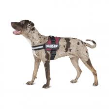 K9 Powerharness