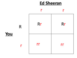 The punnett square is a table in which all of the possible outcomes for a genetic cross between two individuals with known genotypes are given. Understanding Genetics
