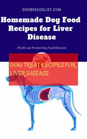 Dog Treat Recipes For Liver Disease Hund Behandeln Rezepte Fur Lebererkrankungen Dog Dogs Puppies Low Protein Dog Food Dog Food Recipes Homemade Dog Food