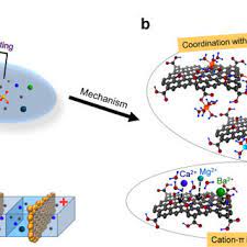 This is associated with dissemination of methods using various ion exchange resins which are. A Schematic Diagram Of The Synchronous Ion Separation And Energy Download Scientific Diagram