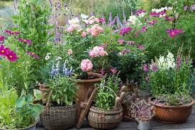 5 Tips For Designing A Cottage Garden Grow Beautifully Cottage Garden Inspiration Tiny Cottage Garden Cottage Garden