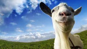 A domesticated ruminant mammal having backward curving horns and a beard especially in the male, raised for its wool, milk Goat Simulator Windows 10 Kaufen Microsoft Store De De