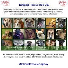 National Rescue Dog Day May 20 Rescue Dogs Dogs Dog Days