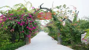 Memorina Ninh Bình Resort giá chỉ 662,000₫, giảm đến 30%