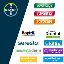 Congreso Veterinario de Leon en Guayaquil