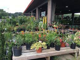 However, we also offer other items that may surprise you. State Farmers Market Raleigh Raleigh Nc 27603