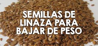 Semillas De Linaza Para Bajar De Peso Linaza Para Bajar De Peso Te Para Bajar De Peso Y Linaza Para Adelgazar