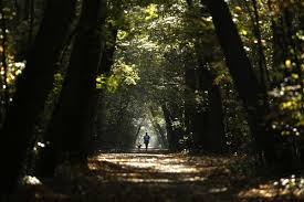 Investing in the stock market is one of the best ways to create wealth over time. Innovations Helping To Conserve Restore And Grow A Trillion Trees World Economic Forum