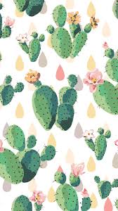 But since photosynthesis is a complex process, it's not quite as simple as just turning a stem green. Cactus Background Wallpaper Enjpg