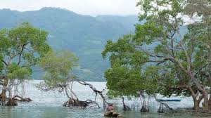 Mendatangi berbagai tempat terindah di dunia pasti akan membuat anda terkesima. Alor Wisata Dengan Pemandangan Indah Dari Gunung Hingga Bawah Laut Tribun Kaltim