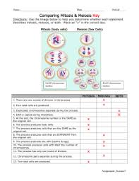 In order to separate the chromosomes in half you will have. Meiosis Activity Pdf