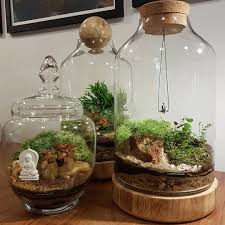 Pin Em Terrarium Paludarium Aquascape