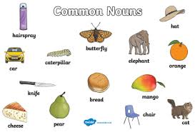 Remember, common nouns name people, places, animals, or things. What Is A Common Noun Answered Twinkl Teaching Wiki
